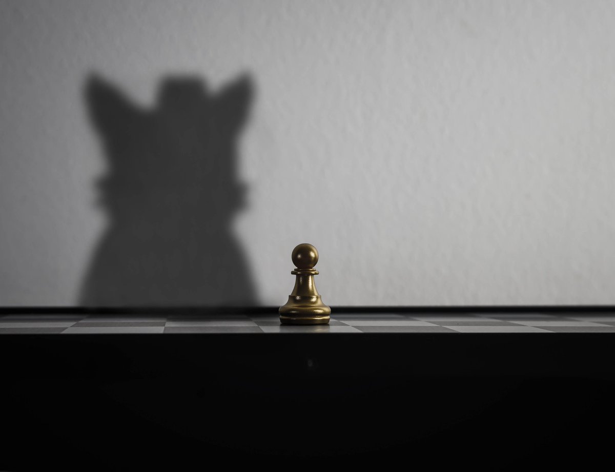 Always dream big 😍 #privatefoxes