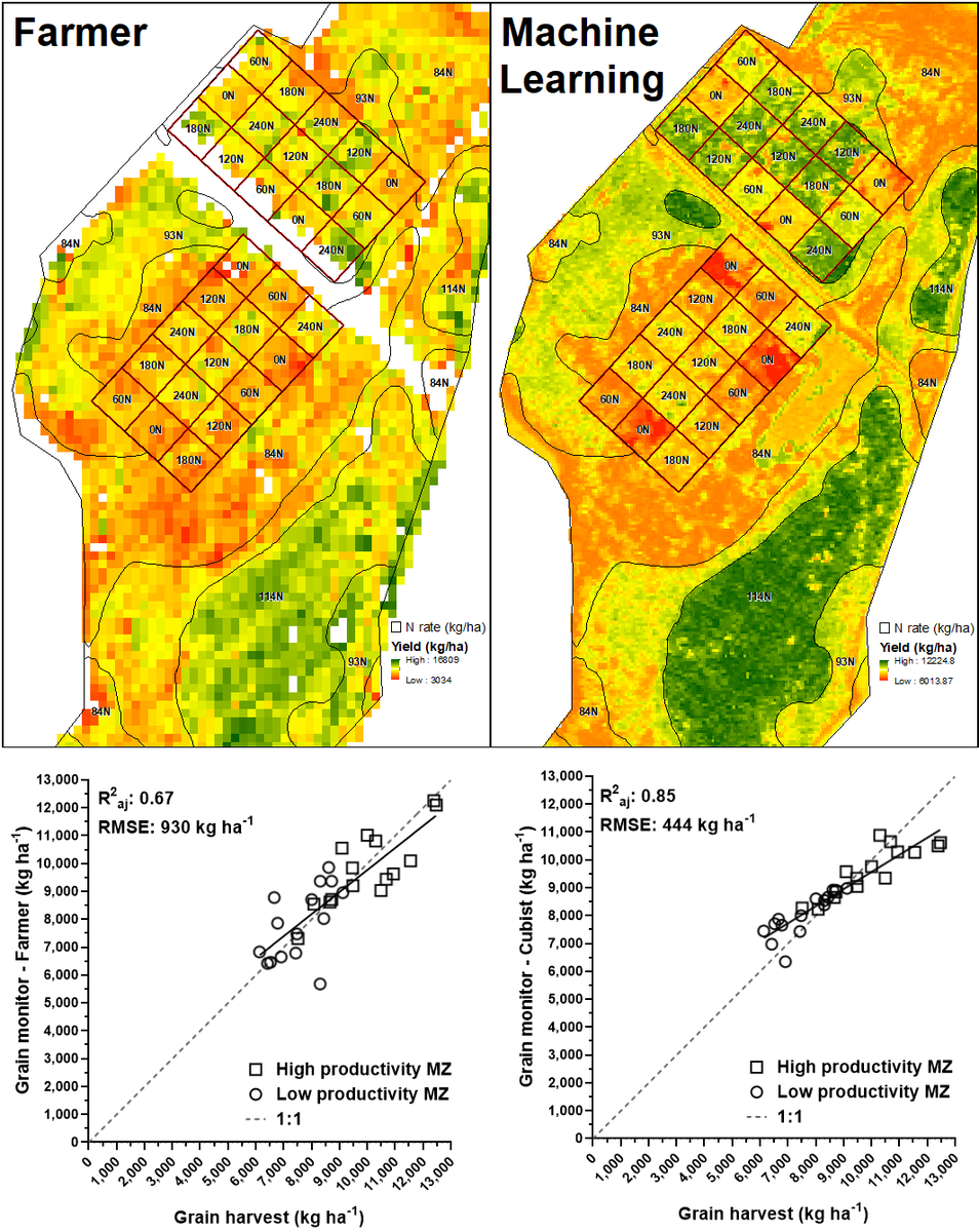 LapazOlveira's tweet photo. The potential of "Machine Learning" to improve yield map analysis. On the left the yield map given by the farmer. On the right the result of the algorithm with nitrogen rate information and a Fine-Scale NDVI satellite image (#PeruSAT) at the R1 stage. Thanks @mcastrofranco!! 🛰️🌽 https://t.co/qlwzPEX82j