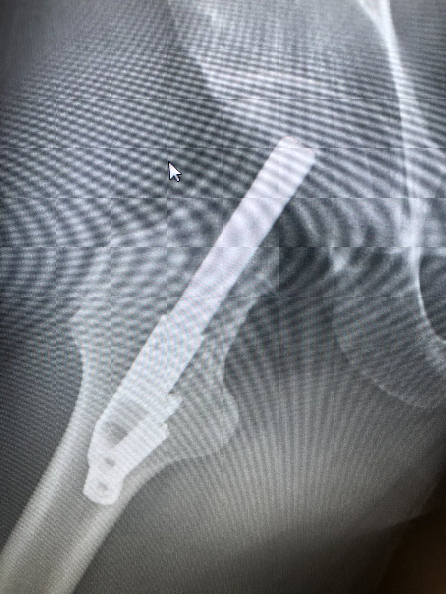 BoneDoc tweet media