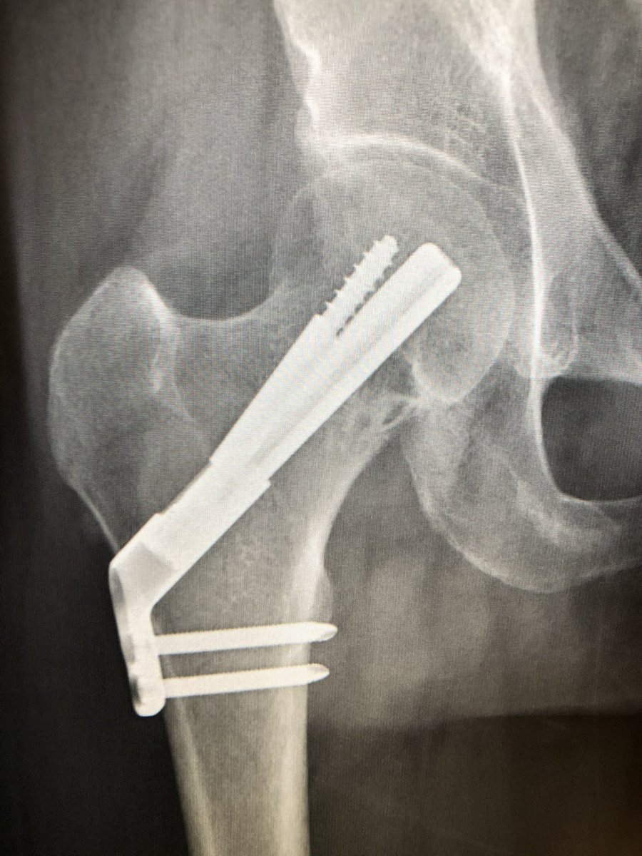 BoneDoc tweet media