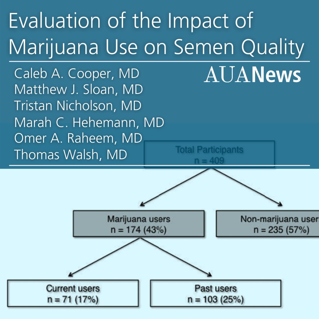 AmerUrological's tweet photo. "Given the unclear impact of #marijuana on #MaleInfertility, there is an increasing demand to better understand its potential impacts on reproductive health." #AUANews #UroSoMe
By: @caleb_cooper___, @MarahHehemannMD, @OmerRaheemMD, @tjwalshsea et al.
➡️https://t.co/2B85LjM6v8 https://t.co/WJB4e7VfmF