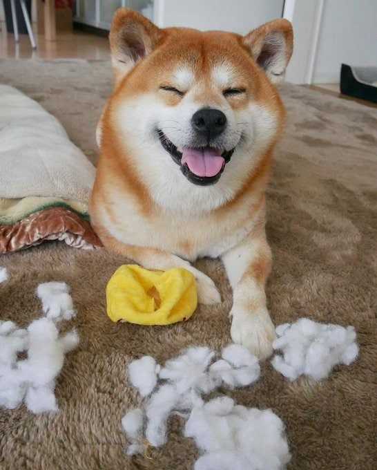 Sa Zixue (@xkayleightaitx) on Twitter photo 