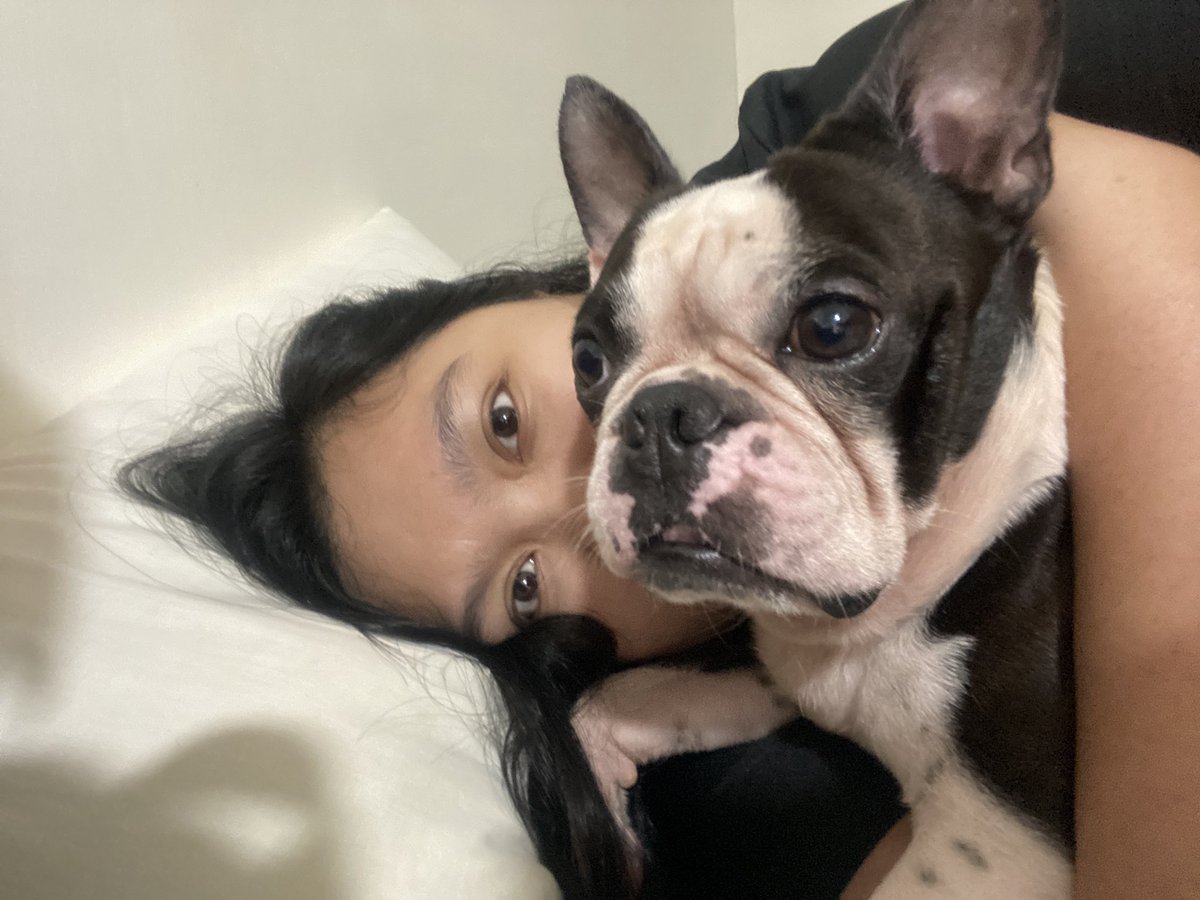 mercemarie's tweet image. It’s my Jackson’s 5th birthday today…so is he 35yo in dog years? Anyway, I’m just really grateful for his existence because he has saved me in so many ways 💖 #RobreDogs #PetsForLeni