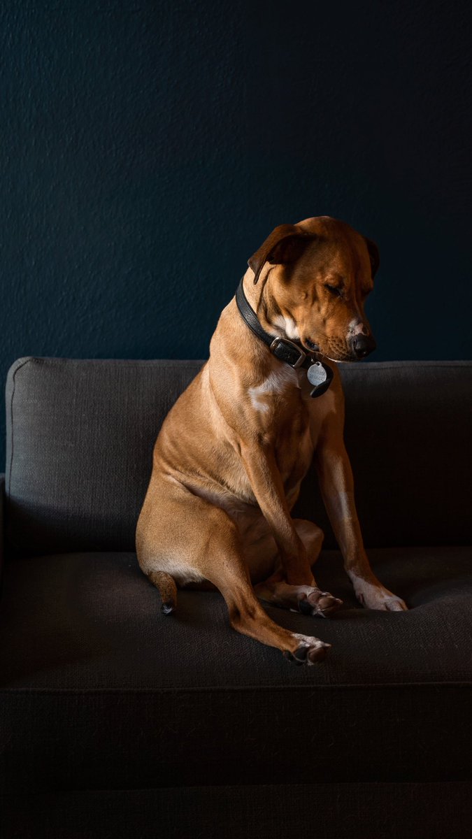 Philippe Gauthier tweet media