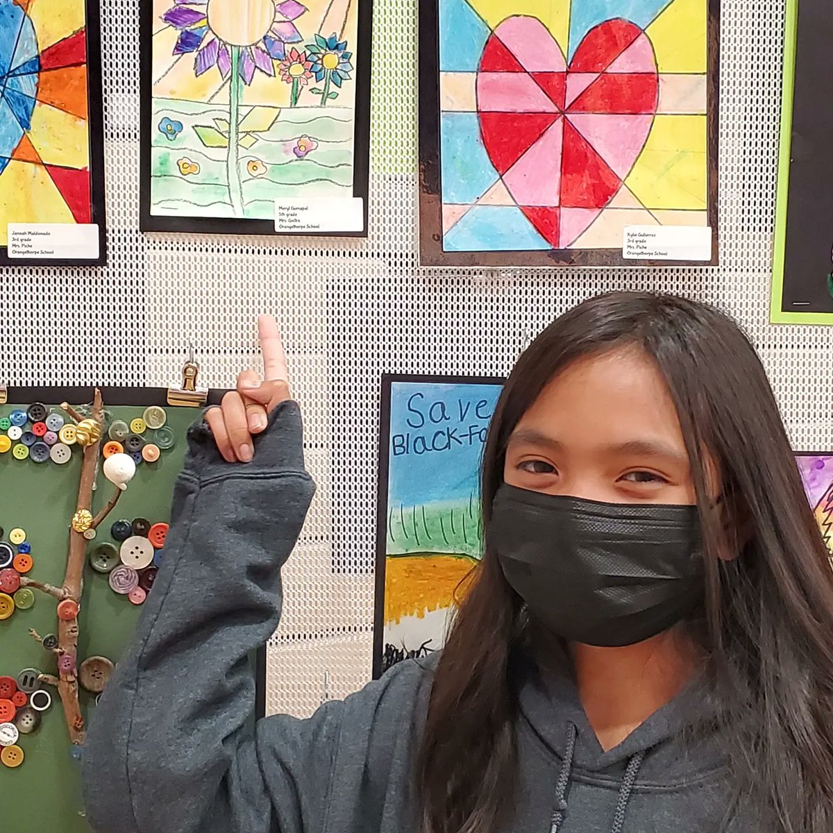 Artistic Orcas #fsdlearns