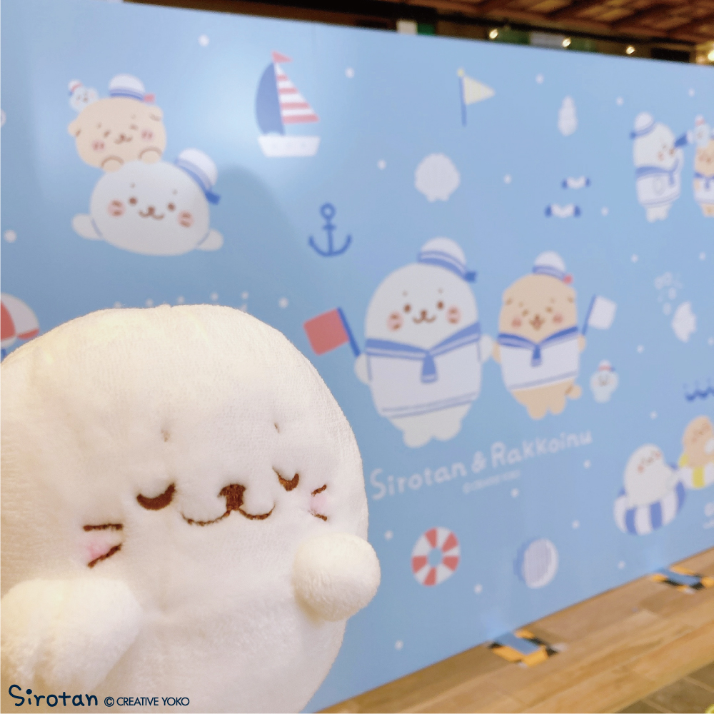 しろたん on X: しろたん on X: