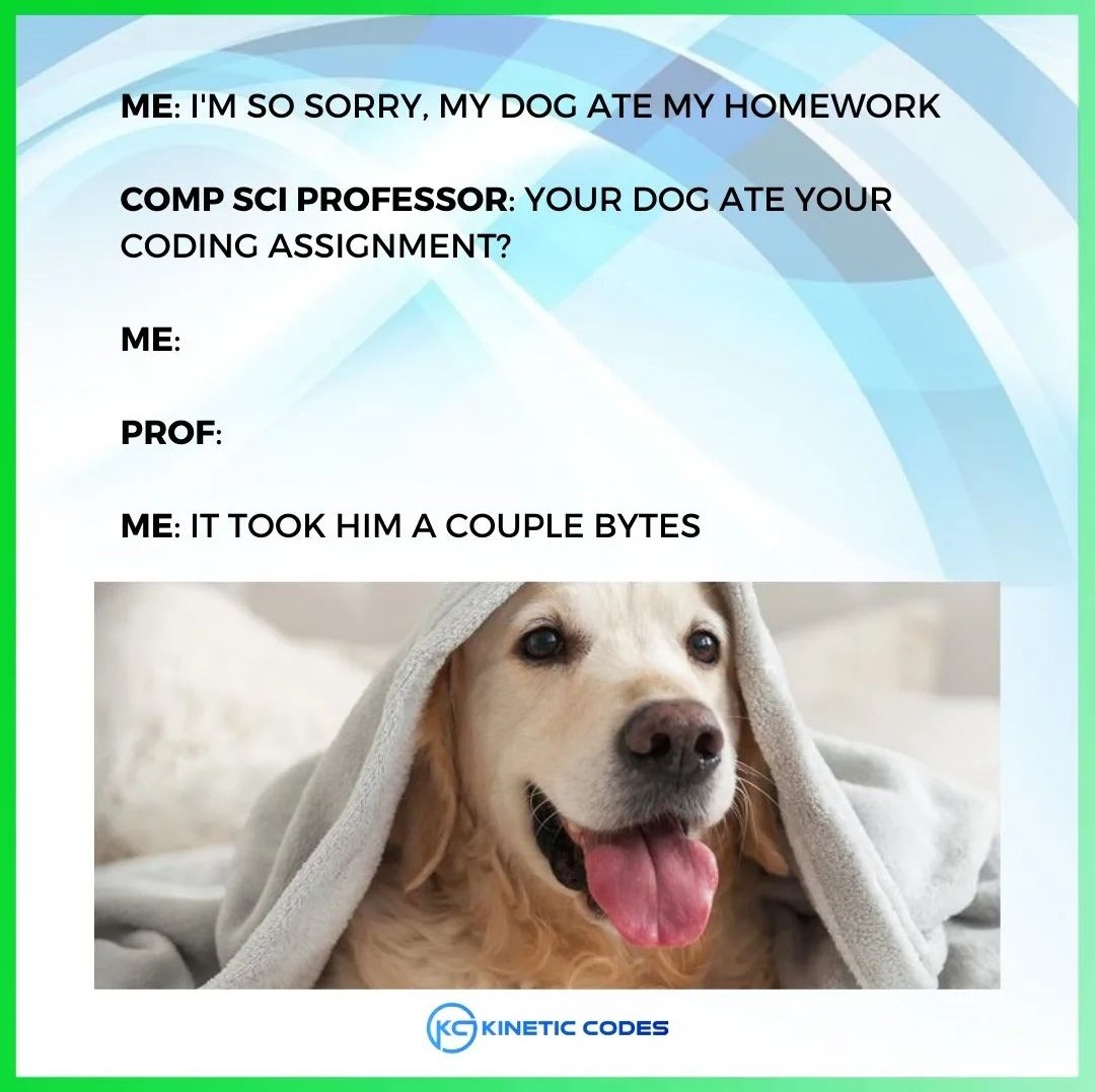 KineticCodes's tweet image. Just a couple of bytes. 

#codingmemes #programmingmemes #developersmeme #webappdevelopment #webapps #mobileappdevelopment