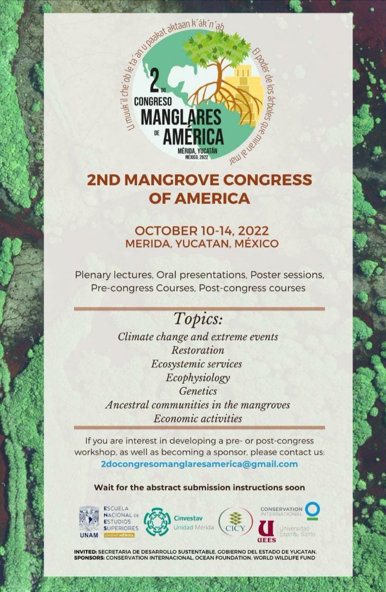 Comité _Mexicano_Manglares tweet media