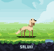 PixelDogs tweet media