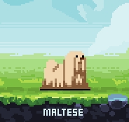 PixelDogs tweet media