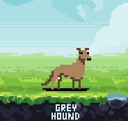 PixelDogs tweet media