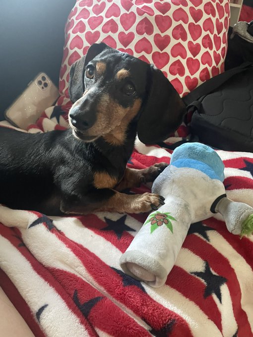 Happy 420 https://t.co/DdbL5rPG3P