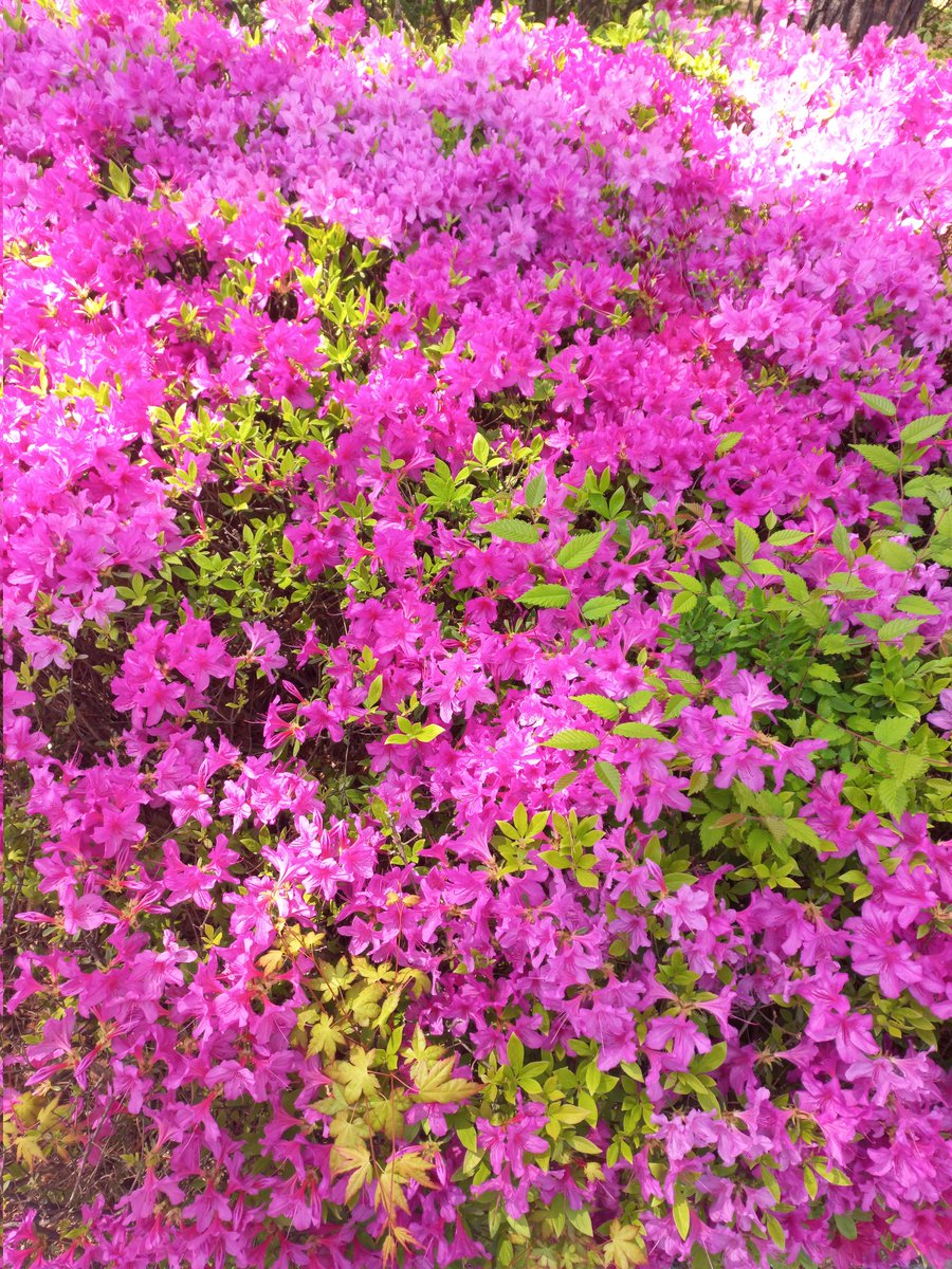 주역이정(김영회) (@ygas2d) on Twitter photo 