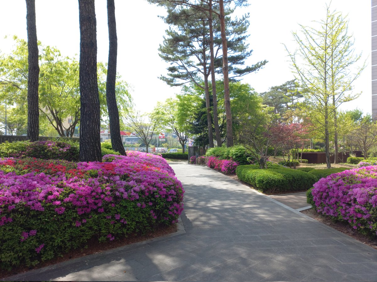 주역이정(김영회) (@ygas2d) on Twitter photo 