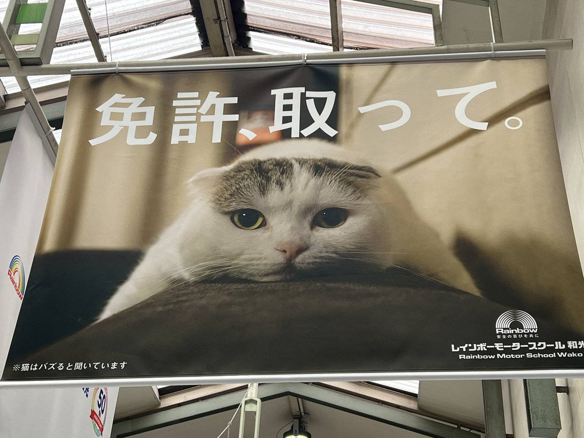 可愛い猫の上に何故か 免許 取って と書かれた広告があったけど 右下を見たらその答えが書いてあった Togetter