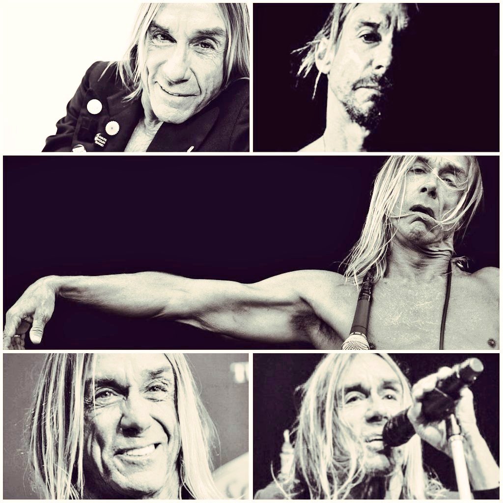Happy 75th Birthday Iggy Pop 