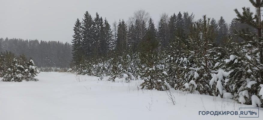 gorodkirov's tweet photo. "Фуры возят сроительные материалы": новые подробности о дороге в Зубаревском лесу

Что говорят власти: https://t.co/QAzstFWXZW https://t.co/qIdihOgZU5