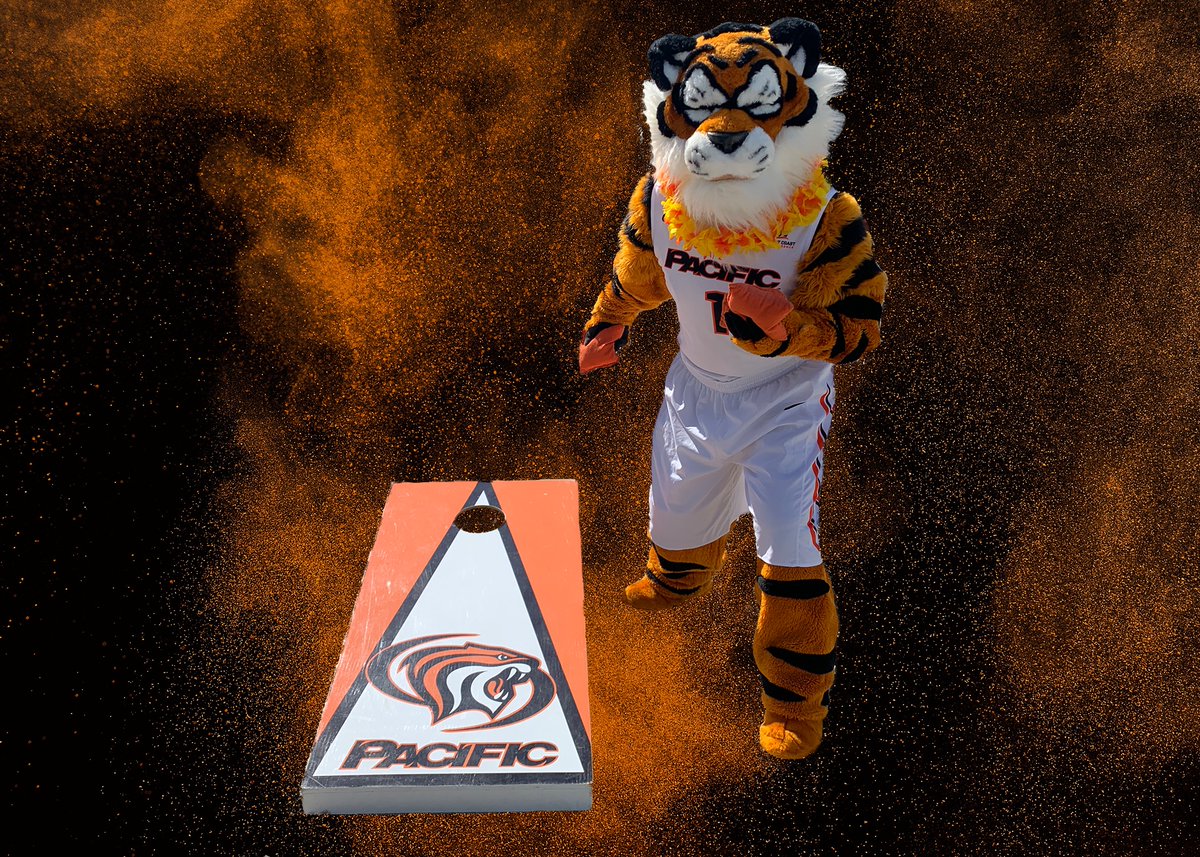 PacificTigers's tweet photo. As students are looking towards their future, we're here to share #WhyPacific is the right place for you!! From cheering in the student section at our athletic events to playing cornhole with Powercat, Pacific is the place to be! #UpRoar https://t.co/2kx822QLTZ