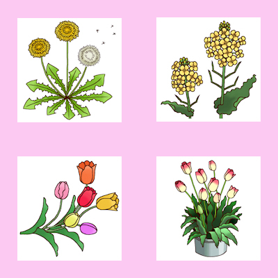 タンポポのtwitterイラスト検索結果