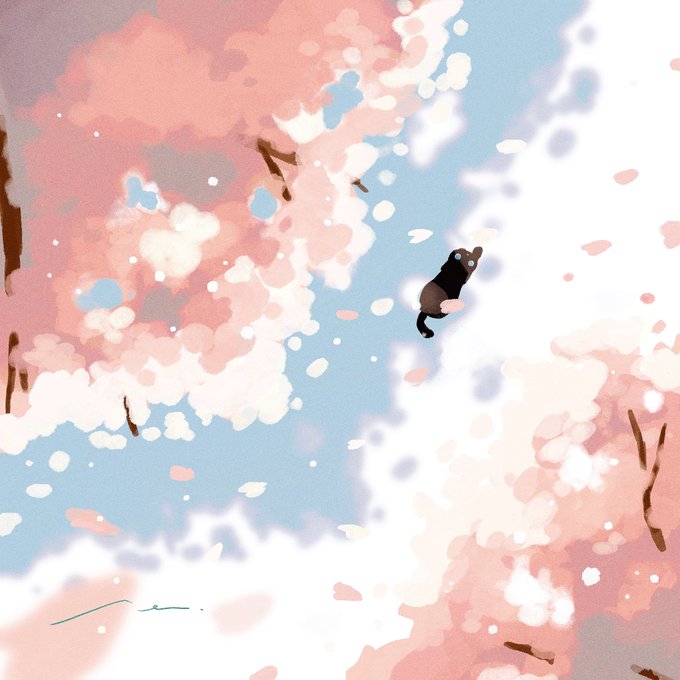 今日のさんぽ道🌸 