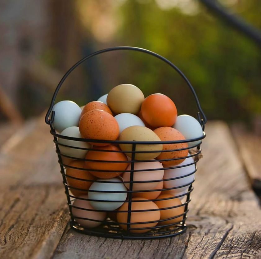 Have you eaten trendy blue heirloom #eggs? 🥚 
I was surprised to learn that blue eggs are blue inside!
The color of an egg is determined by the breed of the hen that lays it. So, hens lay the same color every time. Find blue pasture-raised eggs from <a href="/vitalfarms/">Vital Farms</a> at <a href="/WholeFoods/">Whole Foods Market</a>