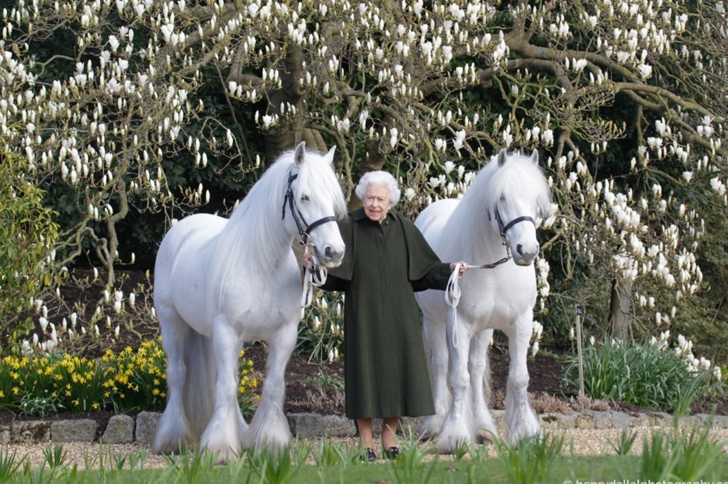 bitealicious's tweet image. Happy 96th birthday.