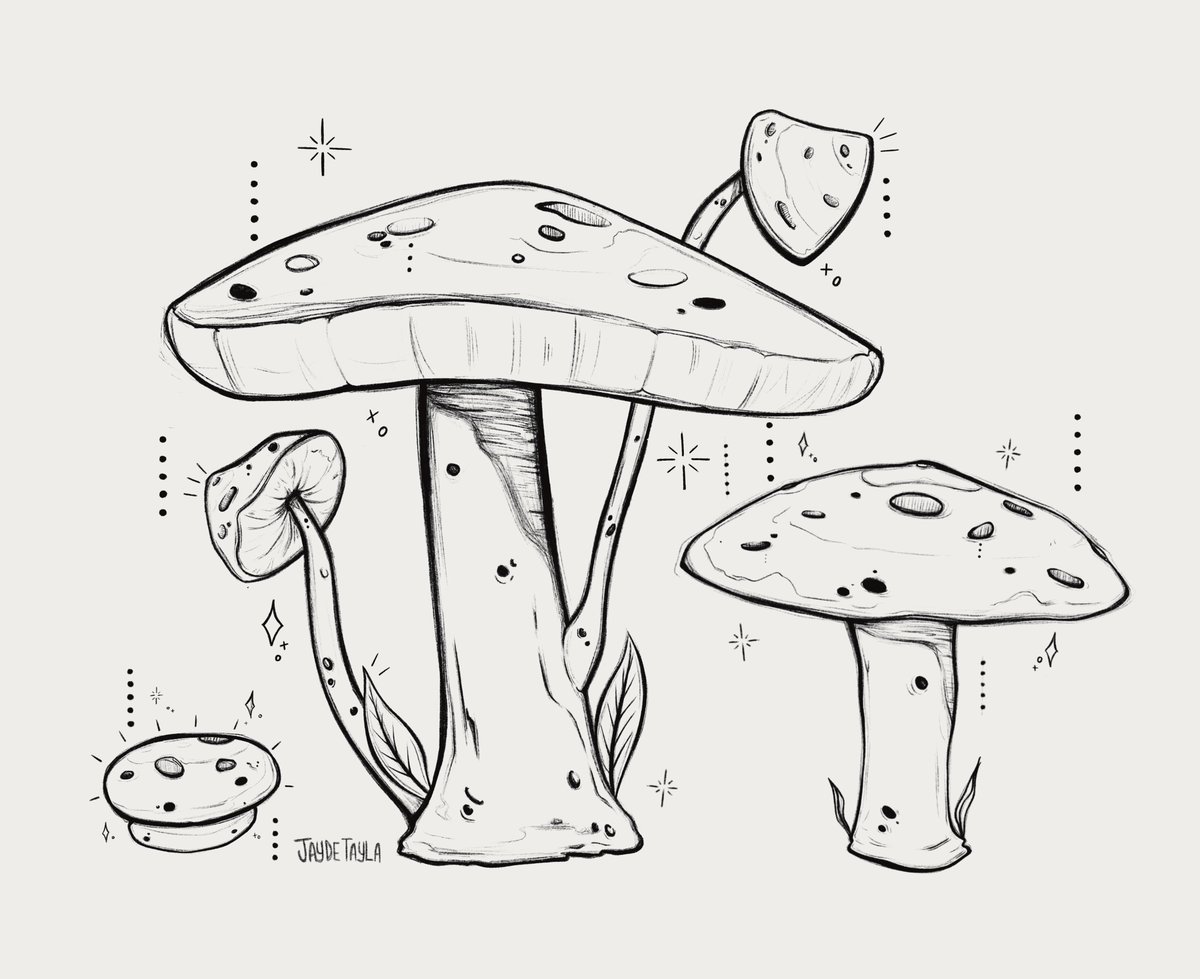 Some little mushie sketches 🍄

#sketch #ArtistOnTwitter #artwork #procreate #porcreateart
