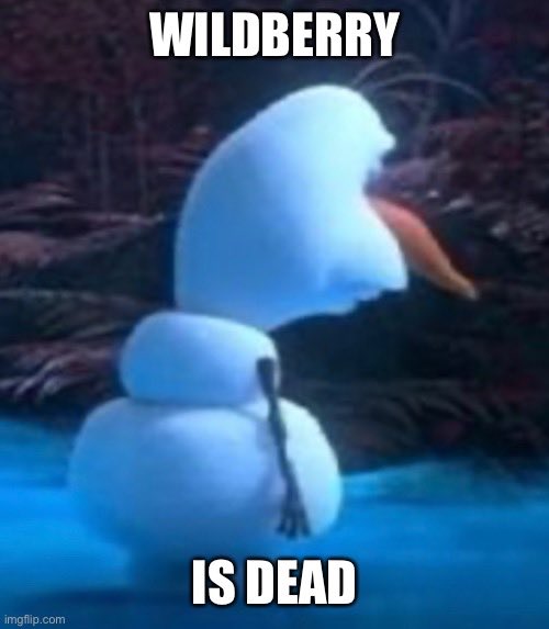 🍓 wildberry’s tips! 🍇 tweet media
