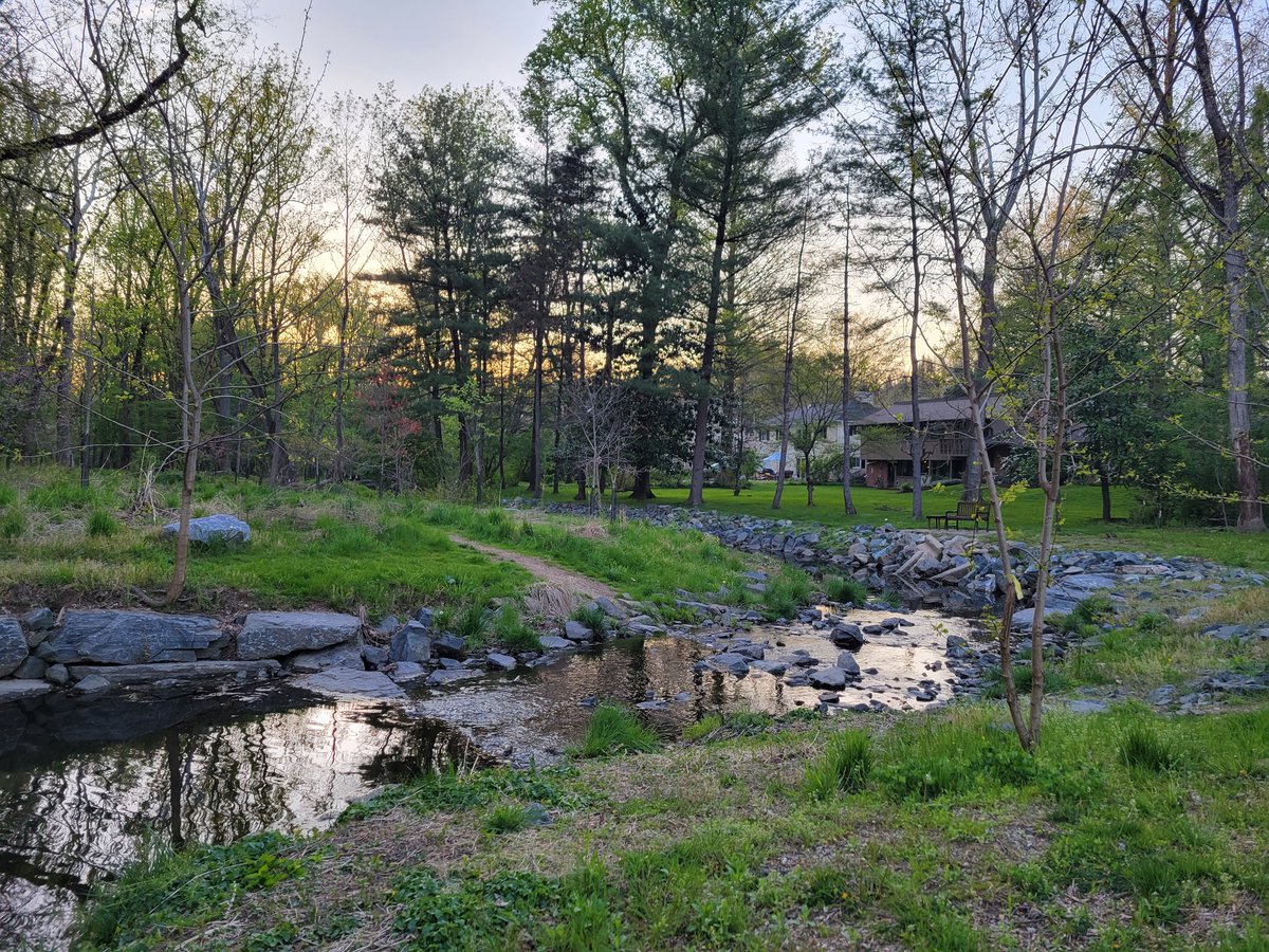 EmmaGmusic's tweet photo. Today's lesson: beauty is everywhere if you take the time to step off the beaten path.
#viewsfromthebackyard #HiddenGems #wednesdaythought https://t.co/zLfsFXABMb