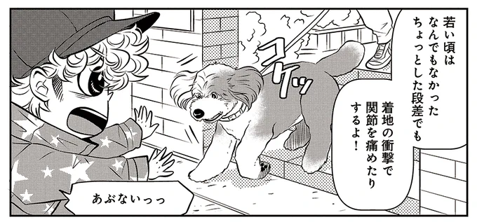 /
明日は✨金曜日✨
#DOGSIGNAL 最新話の更新日です🐶
\

リボンちゃんエピソードの後編③が配信😊
リボンちゃんのために今できること。実践編です✨

ご期待ください🐶 
