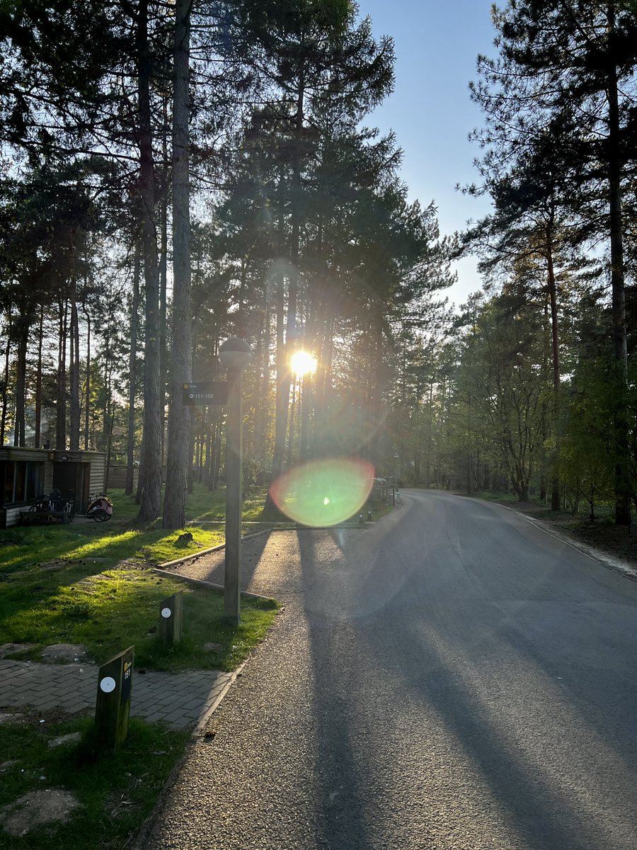 JakePhillips05's tweet image. Loving @CenterParcsUK Elveden Forest as always 😊