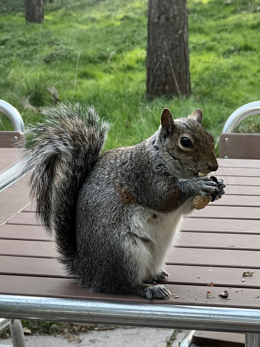 JakePhillips05's tweet image. Loving @CenterParcsUK Elveden Forest as always 😊