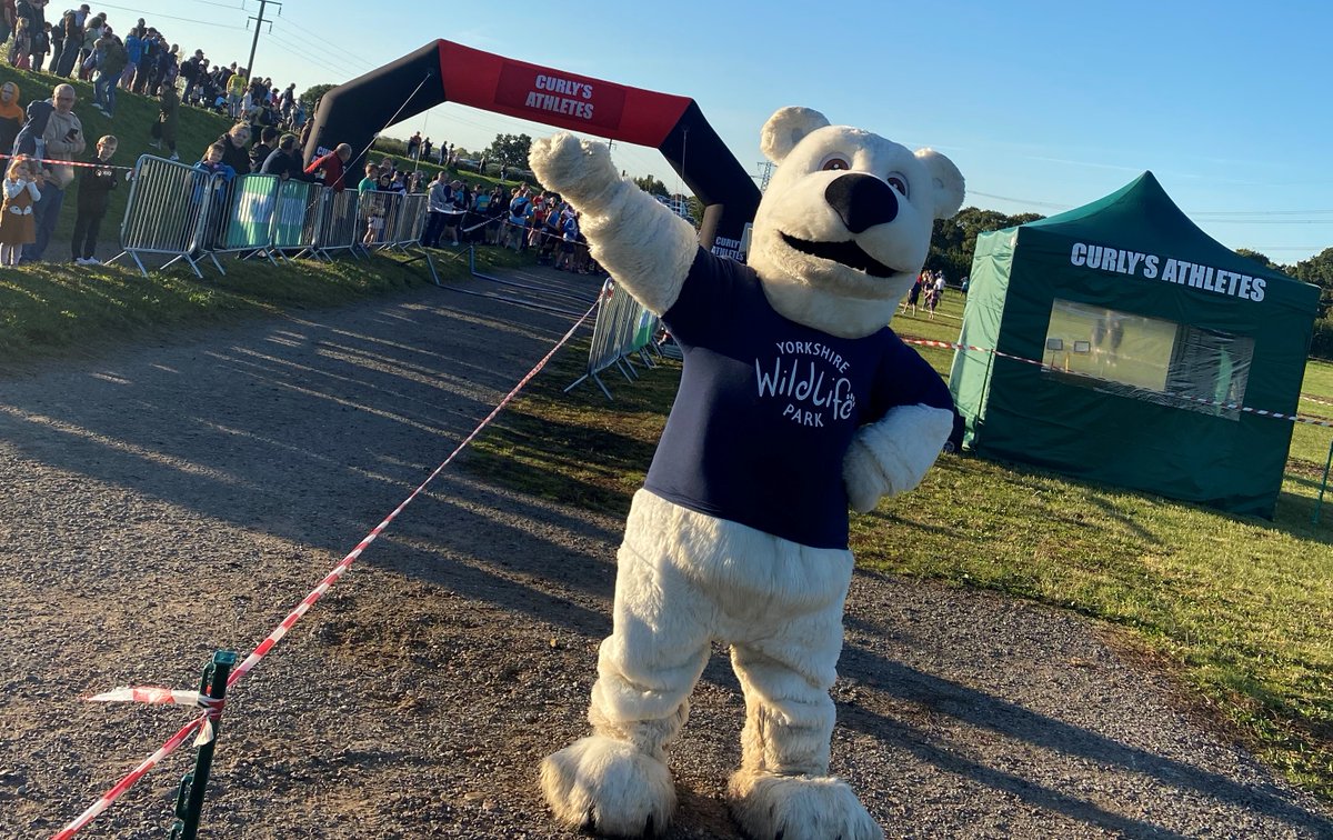 <a href="/Curlysathletes/">Curly's athletes</a> &amp; the <a href="/YorkshireWP/">Yorkshire Wildlife Park 🦁</a> are very pleased to be bringing you a brand new 10k running safari in support of the <a href="/WildLife_Fdn/">WildLife Foundation</a> on the 24th April!

Join them for the unique running experience amongst the animals.

Book here>> bit.ly/3DGnnXZ

#DoncasterisGreat