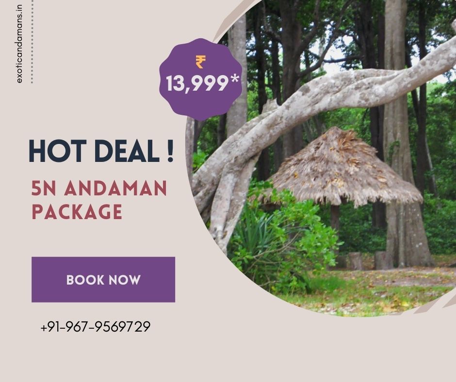 ExoticAndamans's tweet photo. Are you looking for a tranquil getaway to spend your summer holidays !
Then #Andaman is a perfect destination; full of adventure, natural beauty and pristine beaches.
Hurry! Grab our Hot deal on 5N package @ ₹ 13,999*
Offer valid for limited period only.
#andamanholidays https://t.co/PALkjQIda8