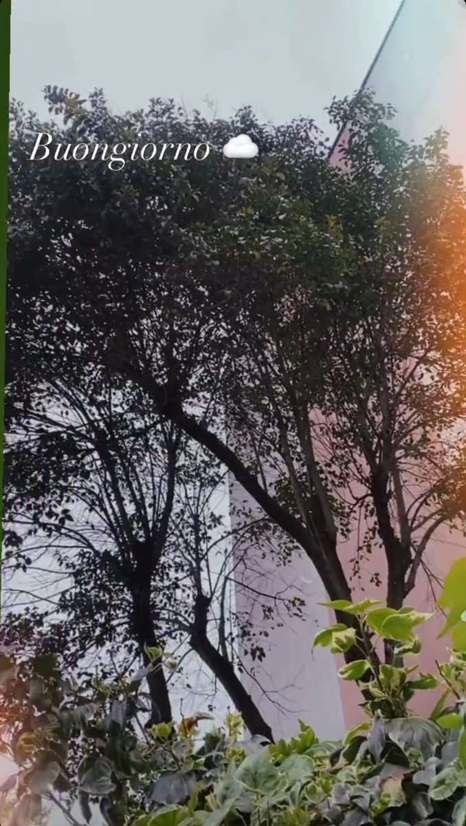 _erikaleo's tweet photo. Ora posso iniziare ufficialmente la mia giornata
#amorosobuongiorno https://t.co/1VBTMMWkW2