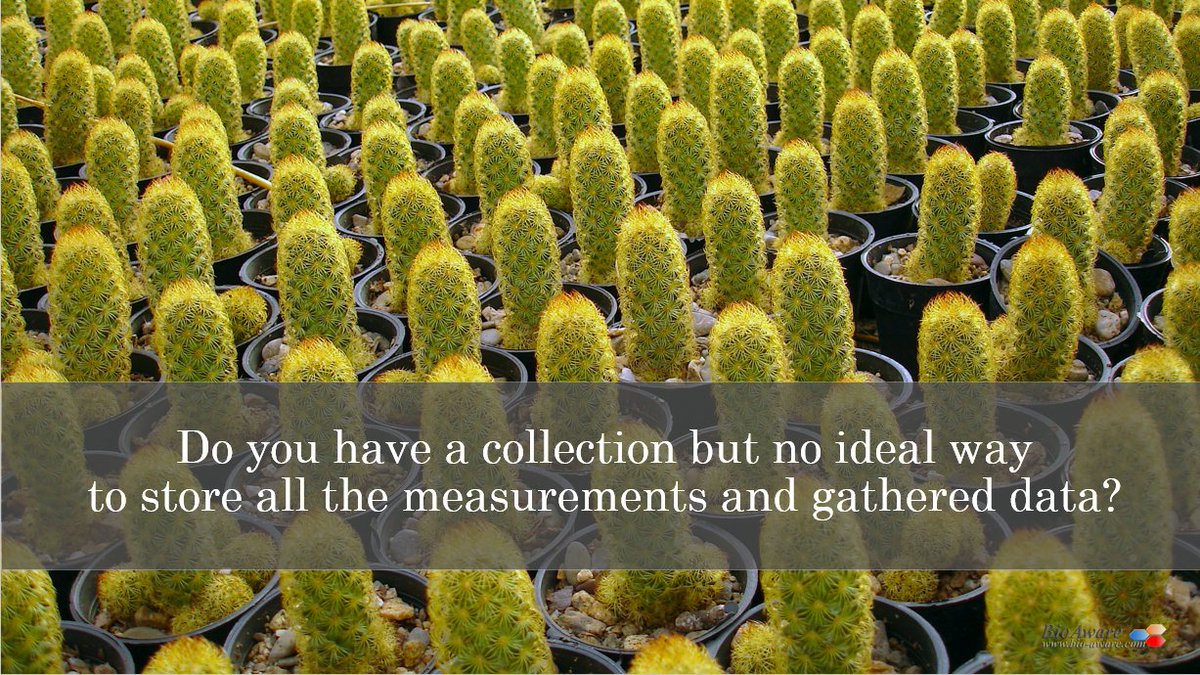 Bio_Aware's tweet image. When you have a collection, it would be nice to have 1 place where you can store all the information about the collection. Do measurements, compare new items with existing collection items, and to show your collections to others from your own website.
bio-aware.com