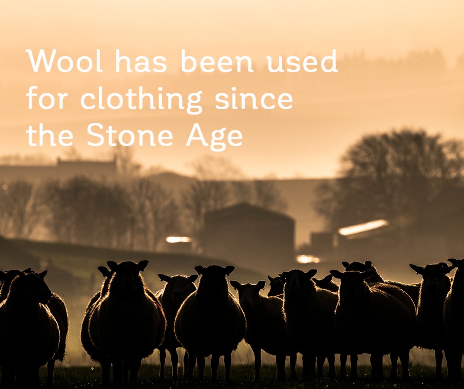 BritishWool's tweet photo. #WoolWednesday
#Sheep #Wool has been used to make #Clothing from humans since the Stone Age
But it wasn't until 1900BC when wool was spun & woven into #Cloth in Britain in the Bronze Age
#BritishWool #Facts #FashionRevolutionWeek #SustainableFashion #Natural #Biodegradable https://t.co/likVyZ5qfe