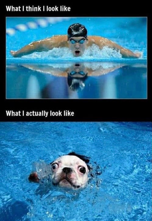 Expectation vs reality