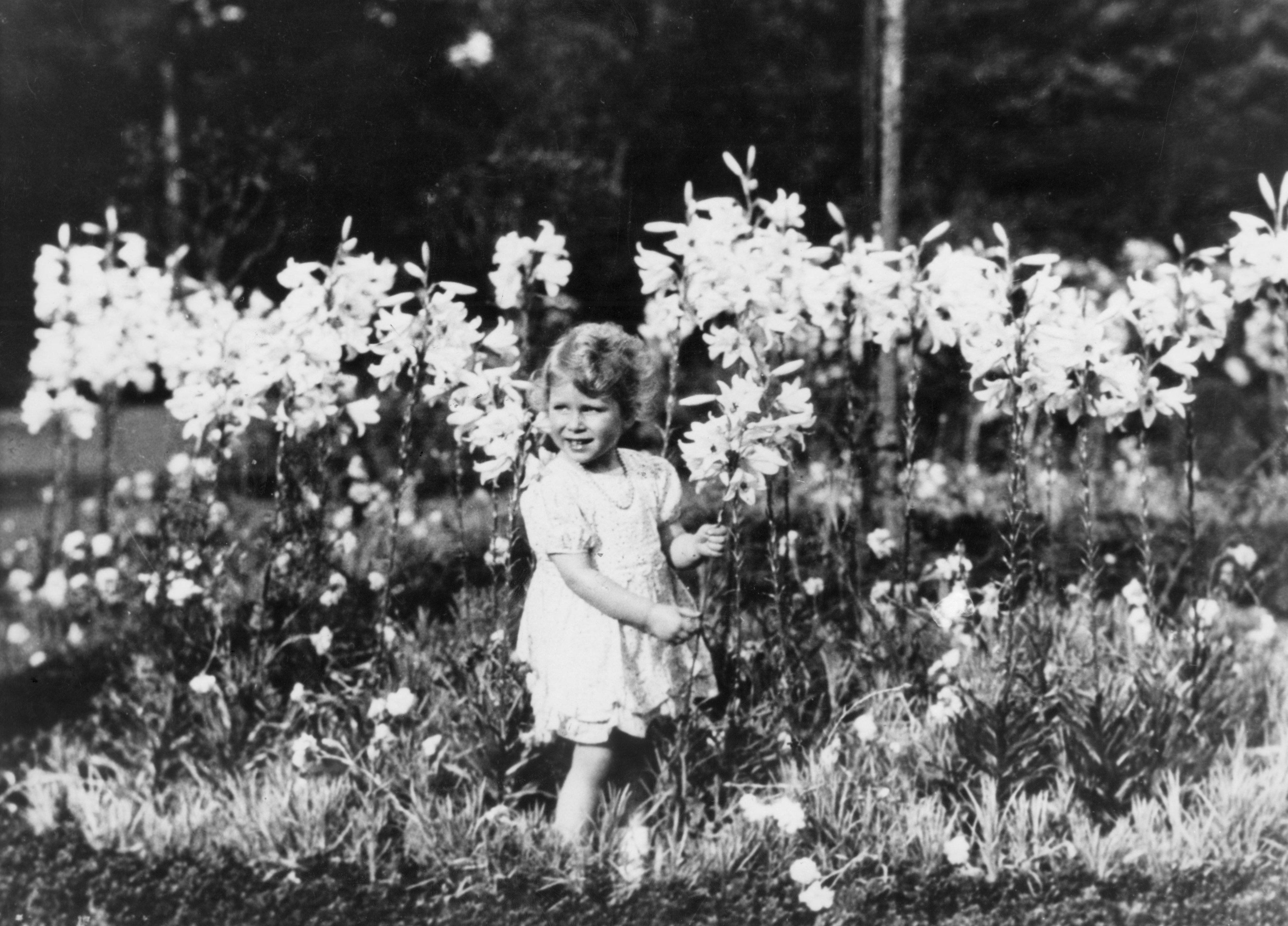 最も信頼できる A2102 FAMOUS PICTURE 写真 - www.mijugueteria.com.ec