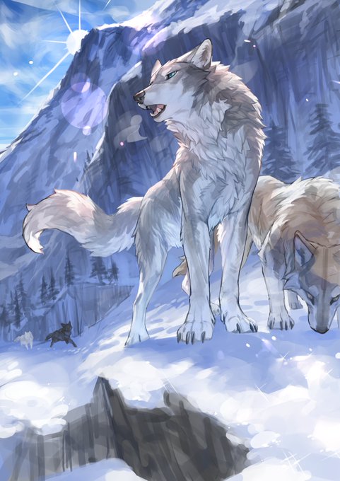 🐺🐺🐺
ジグソーパズルにして飾りたい 