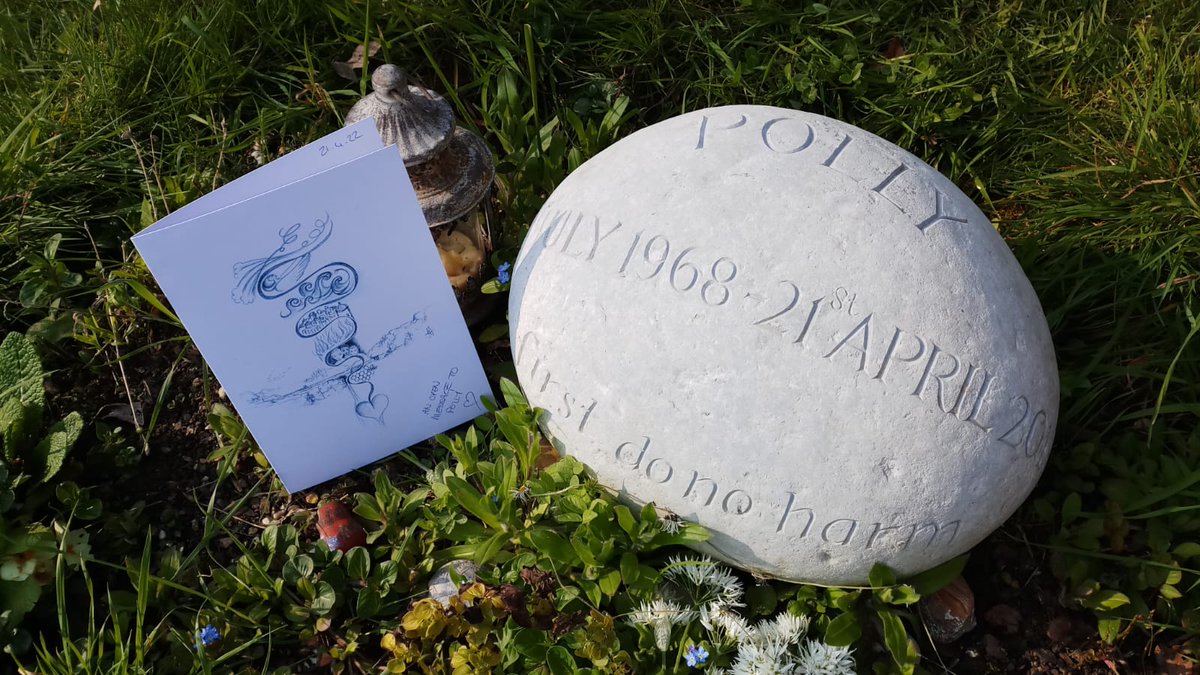 Jojo Mehta tweet media