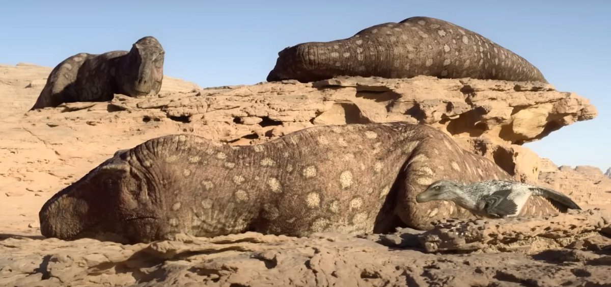 Kovács Attila tweet media