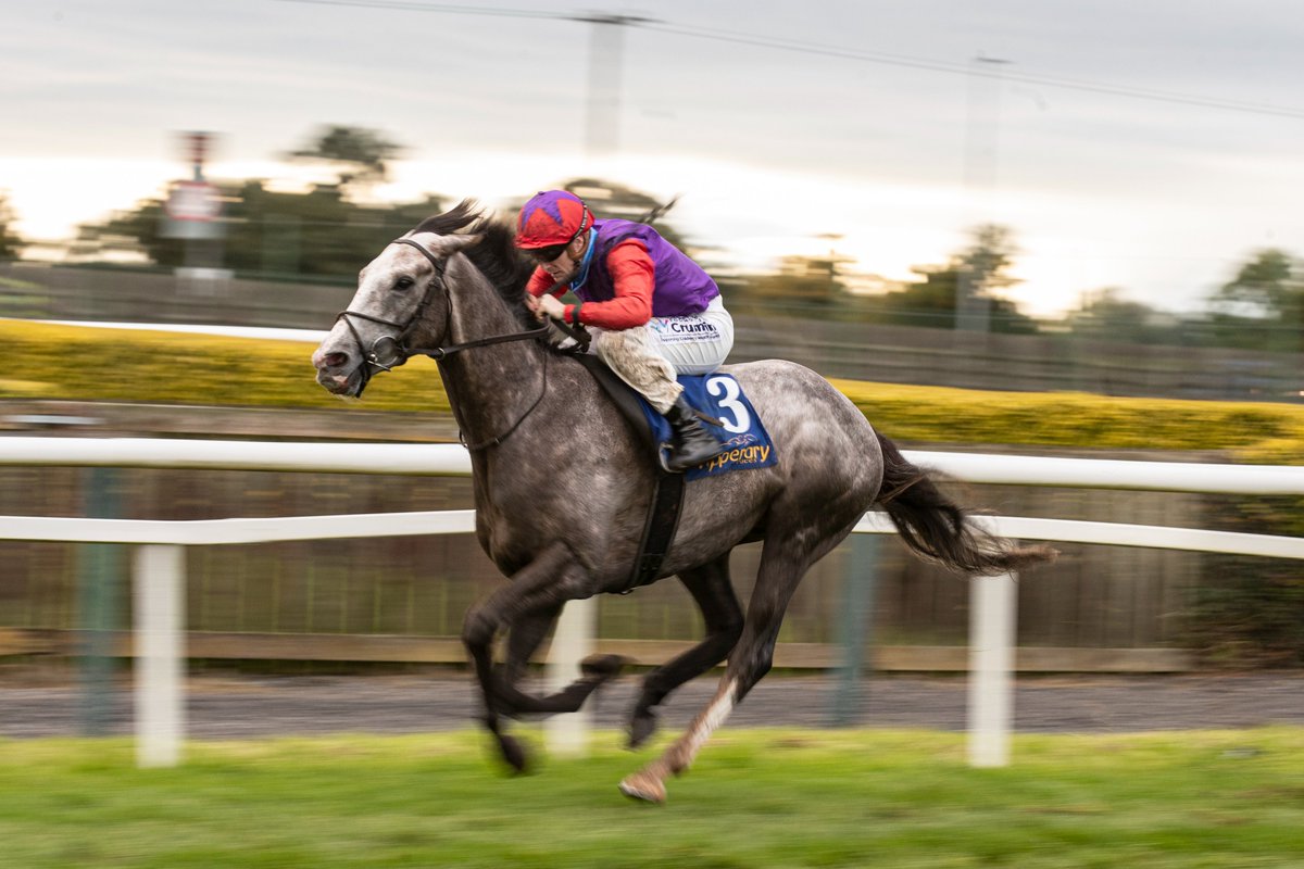 HRIRacing's tweet photo. #TodaysTips - https://t.co/rn3bVyV30G
🏇@tipperaryraces⏰First Race 3.55pm
🏇@KilbegganRaces⏰First Race 4.15pm
Jumps action from #Kilbeggan and on the Flat at #Tipperary early this evening.
Our preview is here ↙️
https://t.co/rn3bVyV30G #SwiftFlight https://t.co/qJ8bnO2oF1