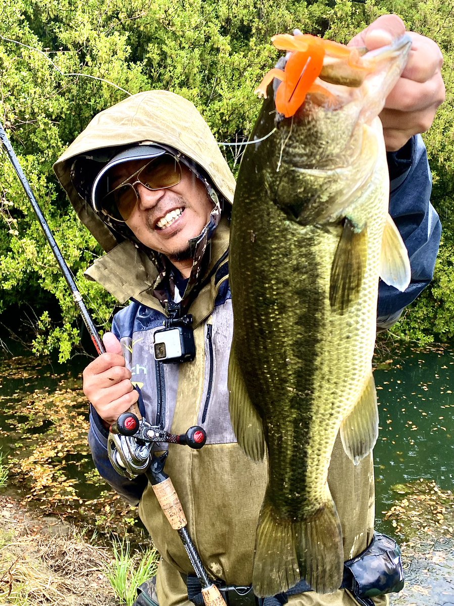 dranckrazy_dk's tweet photo. 冷たい雨の中カエルの活性が上がりド根性ガエルパターン炸裂🐸
#カエルプロト
#エラストマー
#フローティング https://t.co/pHIJWvhqA9