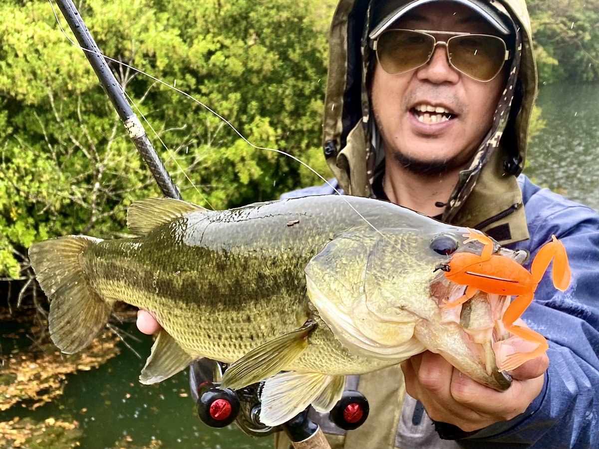 dranckrazy_dk's tweet photo. 冷たい雨の中カエルの活性が上がりド根性ガエルパターン炸裂🐸
#カエルプロト
#エラストマー
#フローティング https://t.co/pHIJWvhqA9