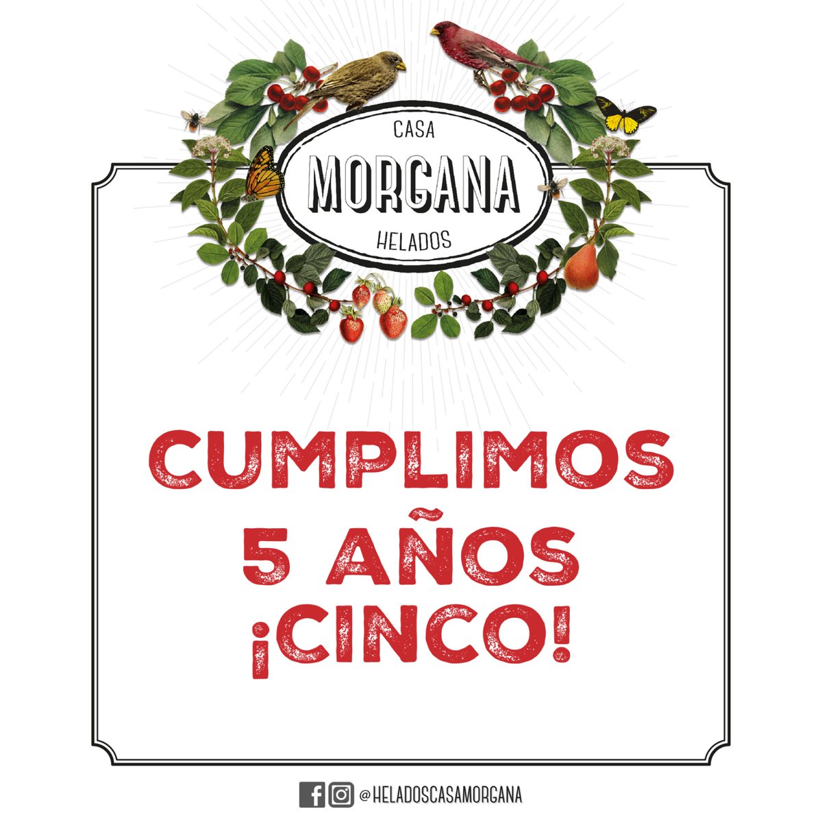 Helados Casa Morgana tweet media