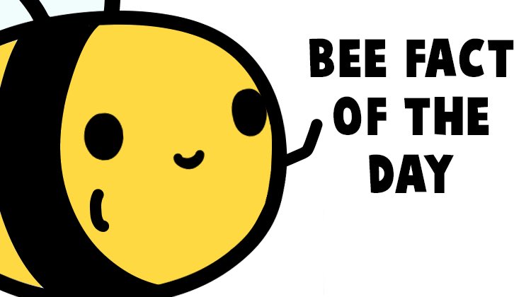 When people say ‘bees’ we often think of the honey bee - but there are over 20,000 species of bees that exist globally! Remember to spread the love around 🐝 
#bees #savethebees #NFTart #NFTCommmunity