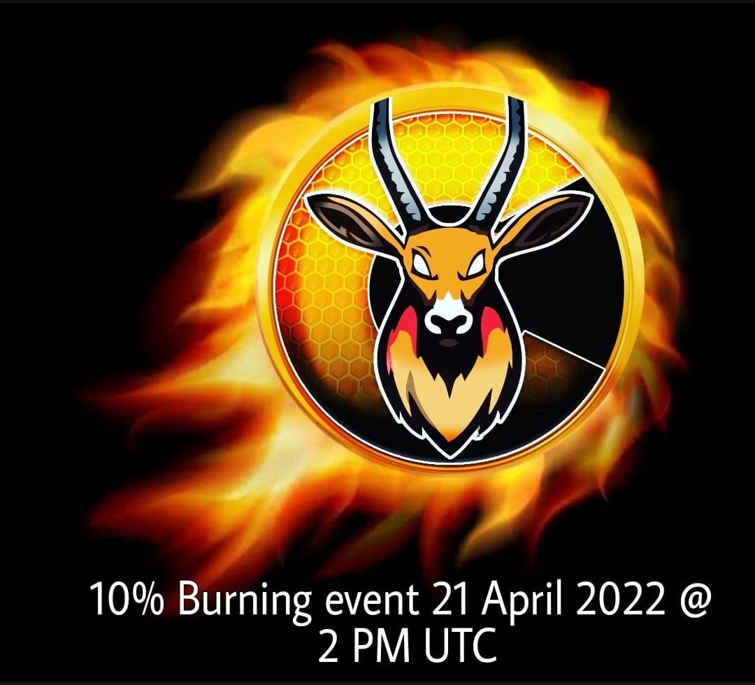 ChiruInu's tweet photo. Burn Burn Burn 🔥🔥🔥🔥 https://t.co/AbwU6O2w4Y