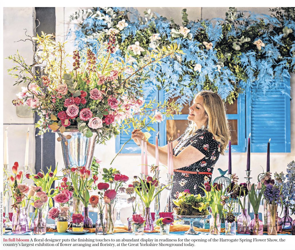 Charlotte Graham tweet media