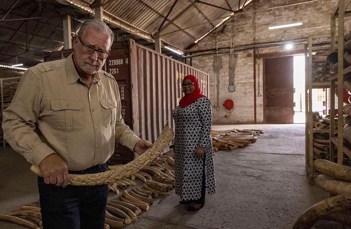 tzbranding's tweet photo. #Today April 21, Los Angeles get ready for an epic show of a lifetime called Tanzania: The Royal Tour by Emmy award producer @PeterSGreenberg Stay tuned! Watch President @SuluhuSamia Expose Tanzania unforgettable discoveries. Also available @PrimeVideo @AppleTV #BrandingTanzania https://t.co/rbczoppneH
